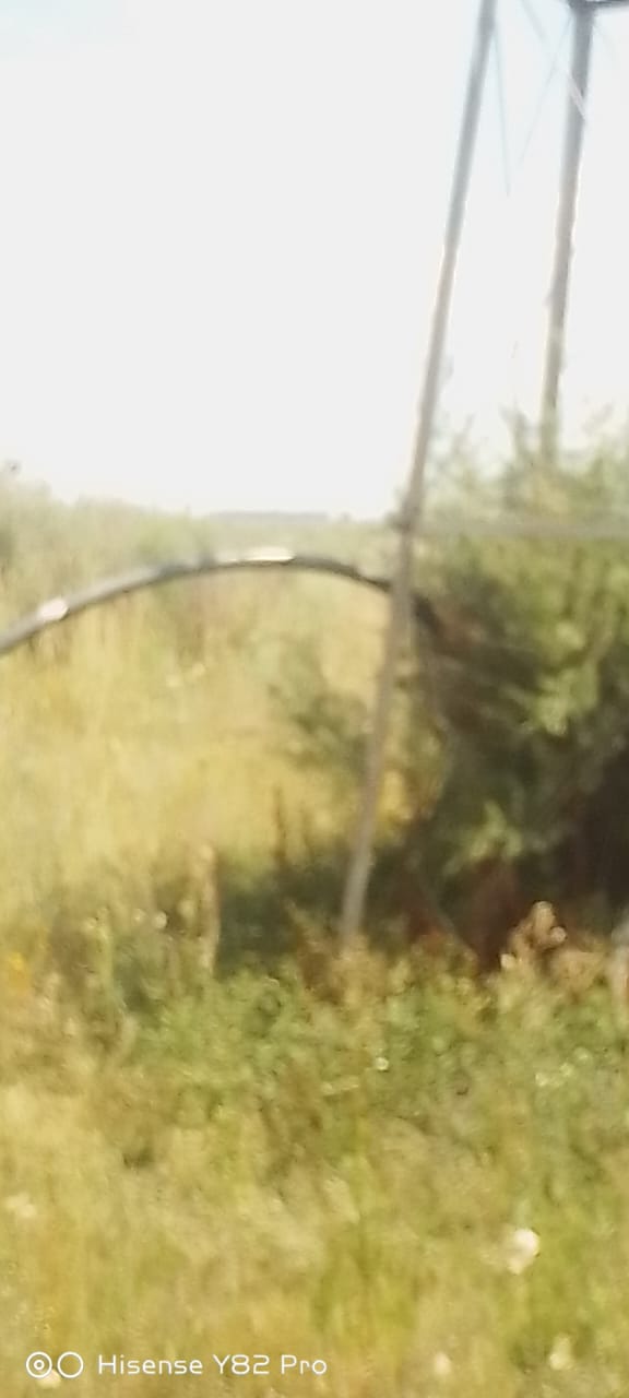 Commercial Property for Sale in Koppies Free State